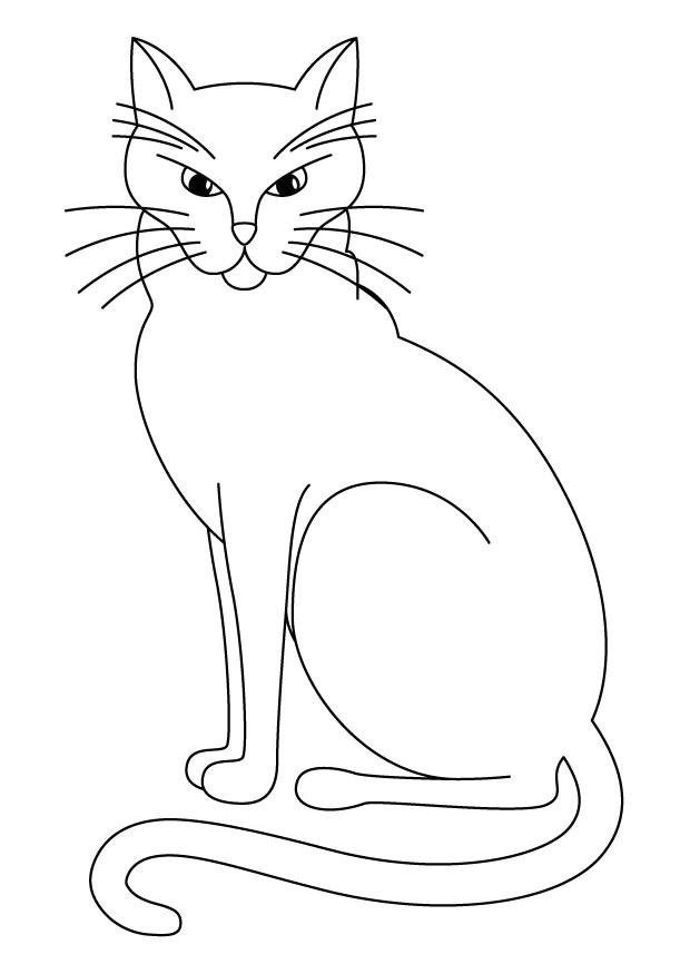 Coloriage Chat – Coloriages Gratuits À Imprimer – Dessin 11582 concernant Coloriage De Chaton À Imprimer