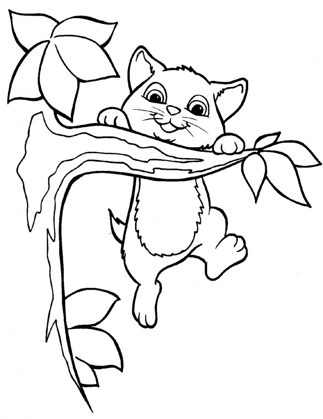 Coloriage Chatons Joue Sur L'Arbre Dessin Gratuit À Imprimer concernant Coloriage De Chaton À Imprimer