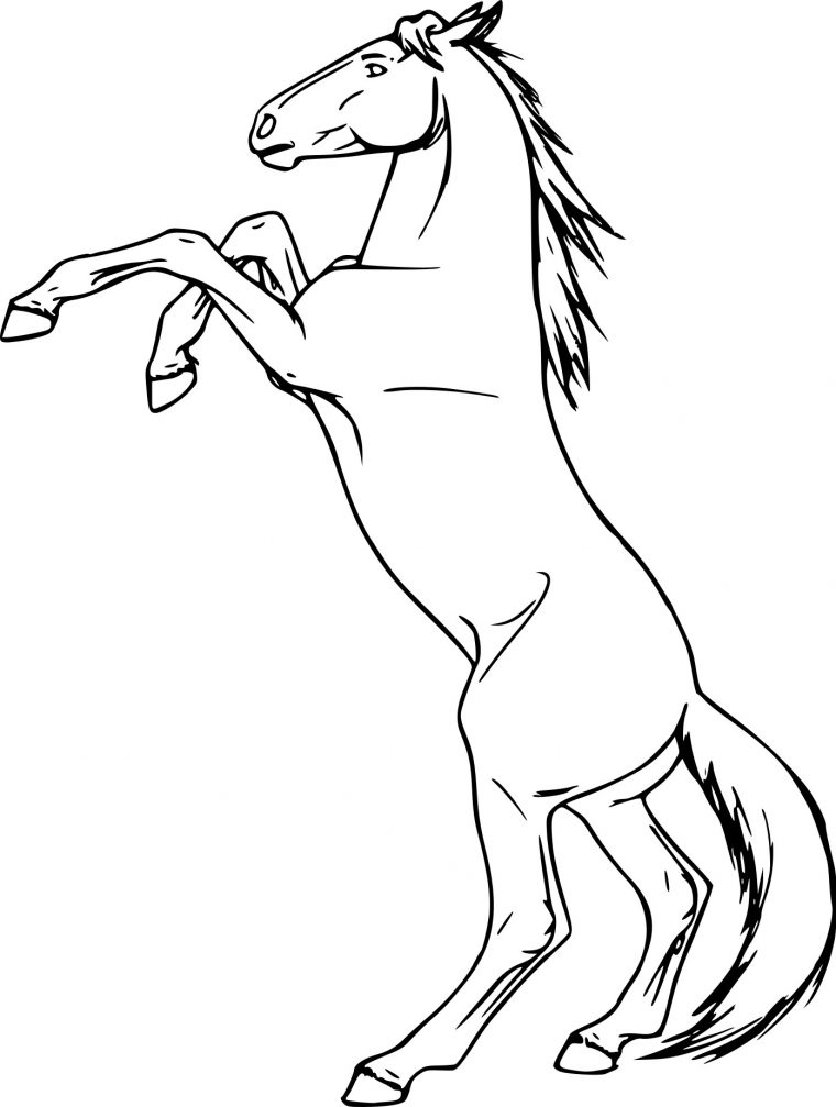 Coloriage Cheval Cabré À Imprimer Sur Coloriages à Dessin Cheval Qui Saute