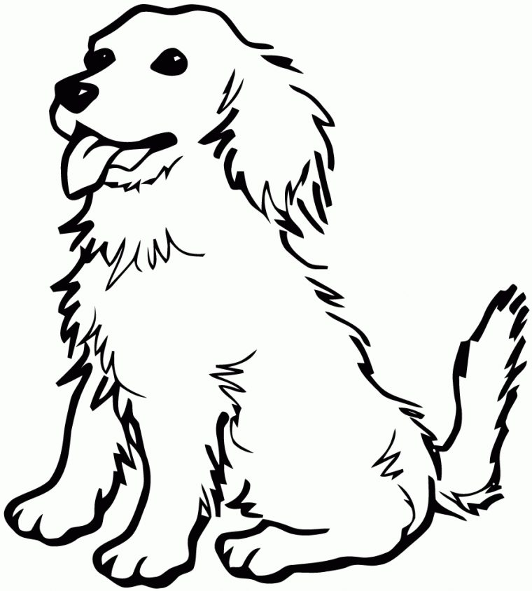 Coloriage Chien Labrador destiné Coloriage Chien Labrador