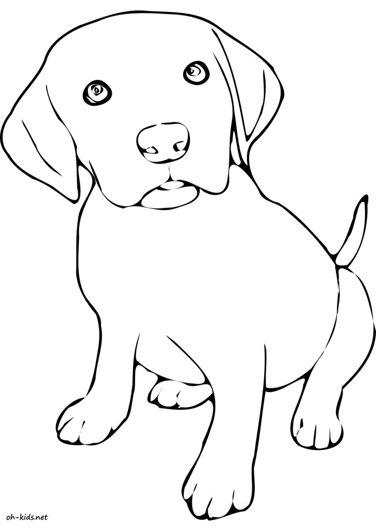 Coloriage Labrador – Greatestcoloringbook avec Coloriage Chien Labrador