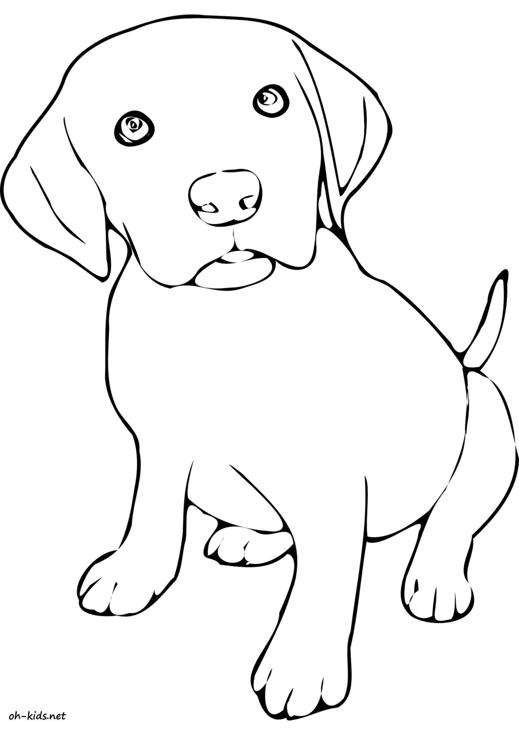 Coloriage Labrador - Greatestcoloringbook avec Coloriage Chien Labrador