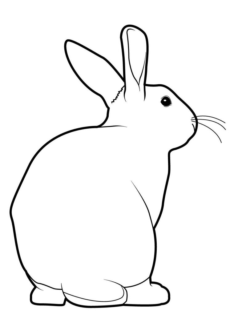 Coloriage Lapin 14 – Coloriage Lapins – Coloriages Animaux à Lapin À Colorier