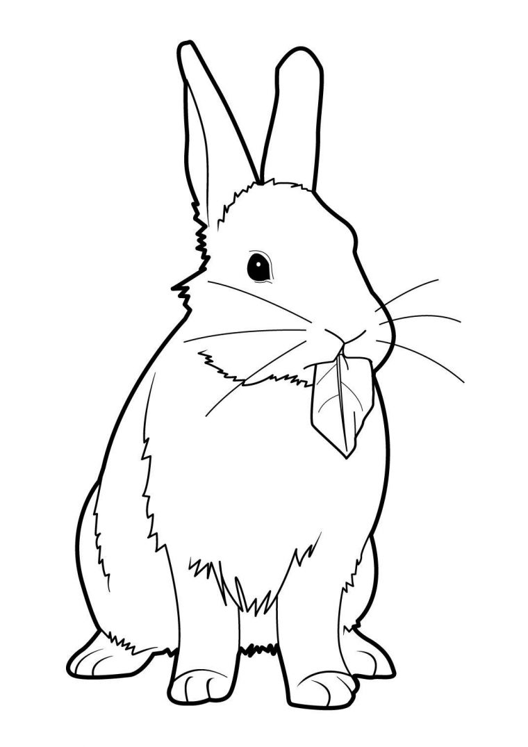 Coloriage Lapin 8 – Coloriage Lapins – Coloriages Animaux avec Lapin À Colorier