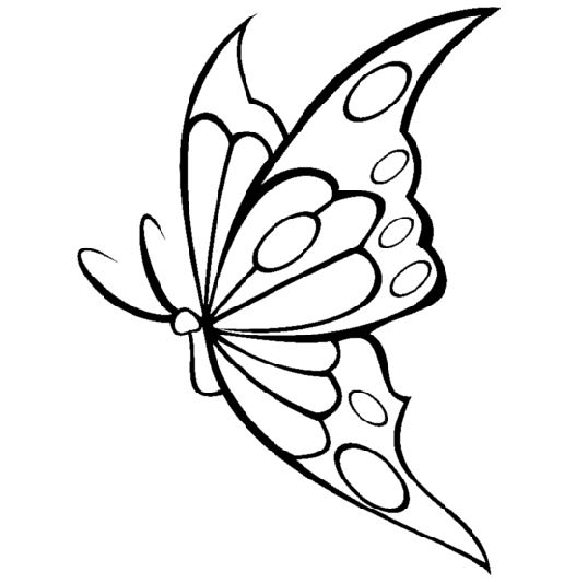 Coloriage Papillon Gratuit En Ligne – Jeu En Plein Écran serapportantà Papillondessin Facile