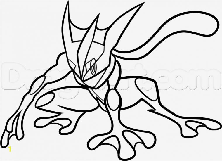 Coloriage Pokemon Amphinobi / Dessin Pokemon Amphinobi destiné Coloriage Amphinobi