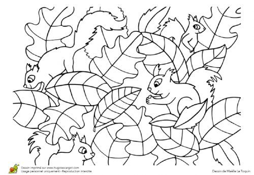 Coloriages D'Automne – Le Carnet D'Emma | Coloriage intérieur Coloriage Écureuil Maternelle