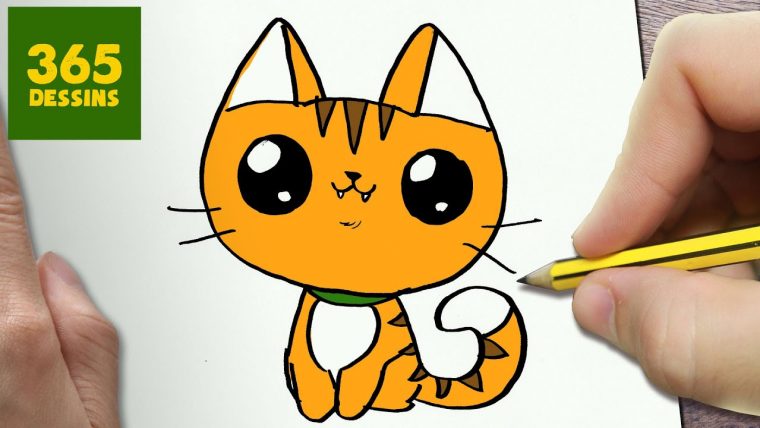 Comment Dessiner Chat Kawaii Étape Par Étape – Dessins dedans Dessin Kangourou Facile