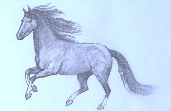 Comment Dessiner Un Cheval Pas À Pas Avec Un Crayon dedans Dessiner Un Cheval Qui Saute