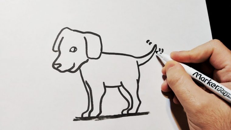 Comment Dessiner Un Chien Facile À Dessiner "Dessin Chien pour Comment Dessiner Un Avion Facile