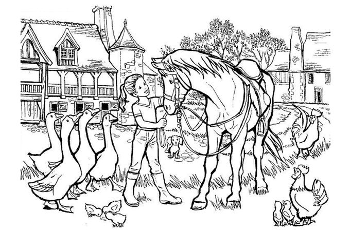 Dessin A Imprimer De Cheval Qui Saute | Coloriage Kids dedans Coloriage De Cheval Qui Saute