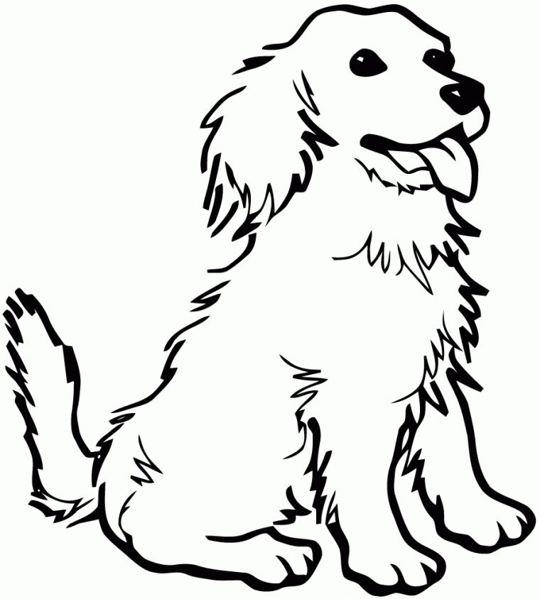 Dessin De Bébé Chien Inspirant Image Coloriage Chien À avec Coloriage Chien Labrador