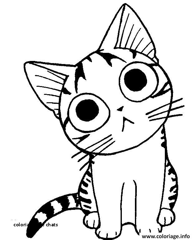 Dessin De Chat Manga – Les Dessins Et Coloriage concernant Tete De Chat Coloriage