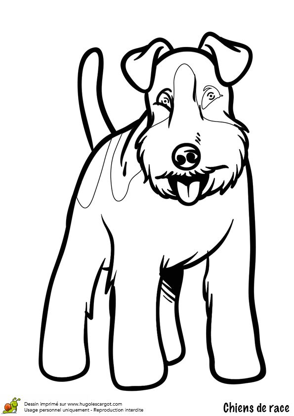 Dessin De Tete De Chien – Greatestcoloringbook encequiconcerne Coloriage Tete De Chien