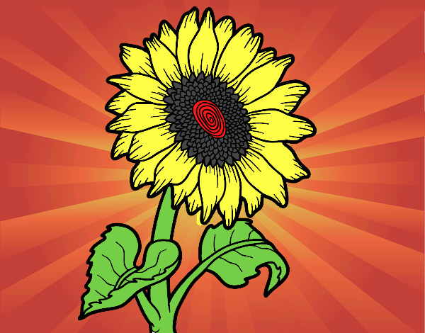 Dessin De Un Tournesol Colorie Par Membre Non Inscrit Le encequiconcerne Coloritou