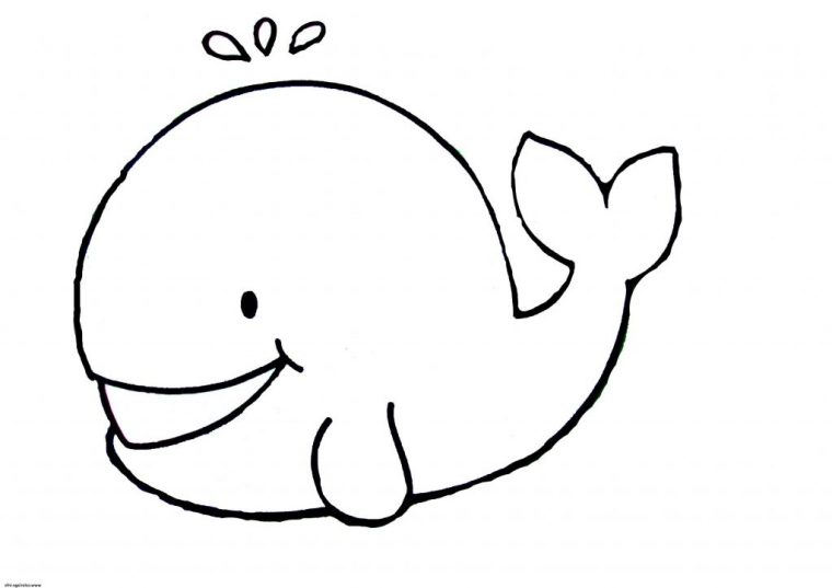 Dessin Facile Enfant Beau Photographie Coloriage Baleine pour Dessiner Une Baleine