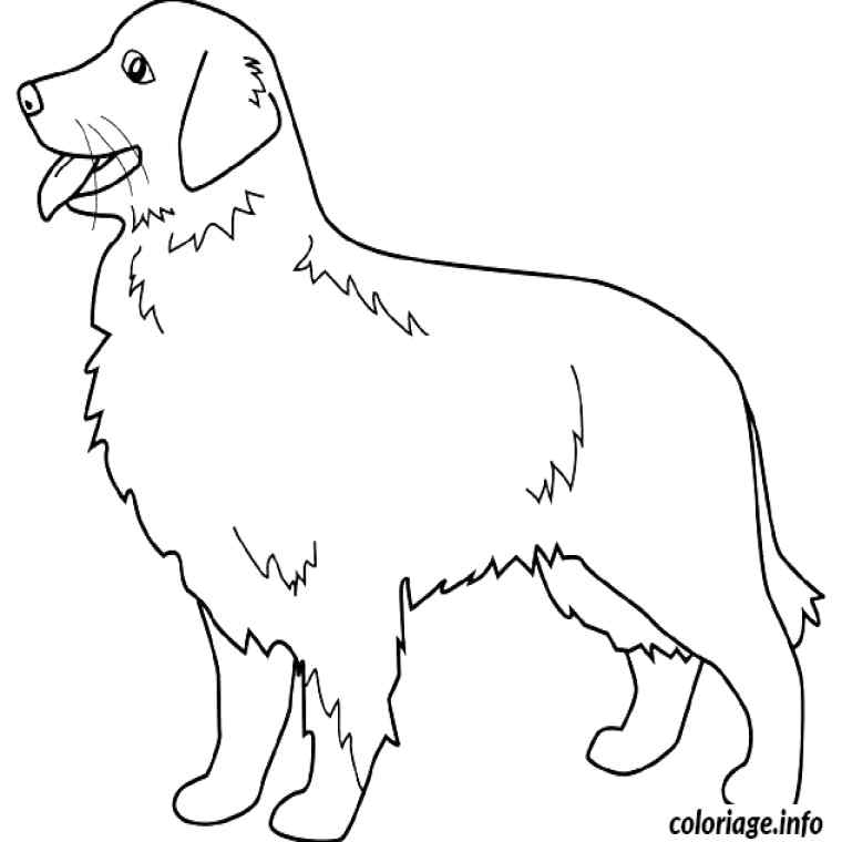 Dessin Manga Kawaii A Colorier – Les Dessins Et Coloriage à Coloriage Chien Labrador