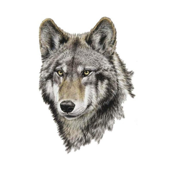 【200以上】 Realiste Dessin De Loup Garou encequiconcerne Dessin De Tête De Loup