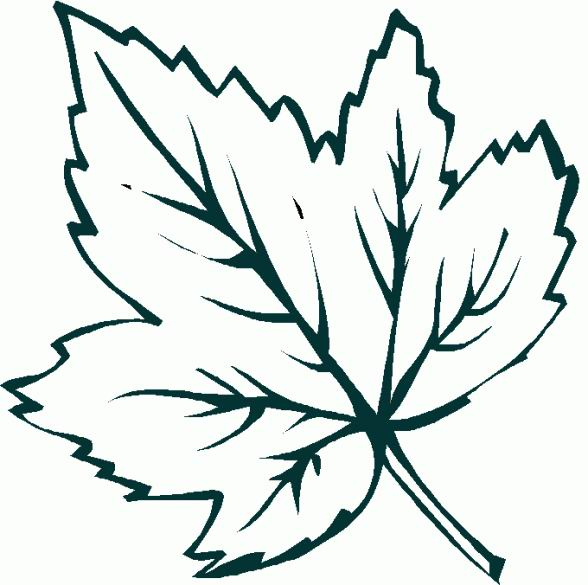 Feuille D Erable Dessin – Greatestcoloringbook serapportantà Feuille Canada Dessin