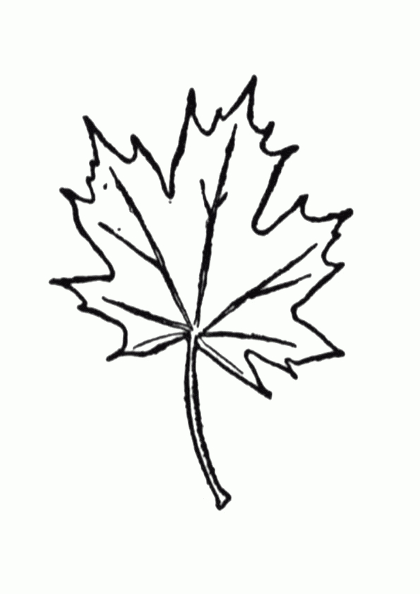 Feuille D Érable Dessin – Greatestcoloringbook tout Feuille Canada Dessin