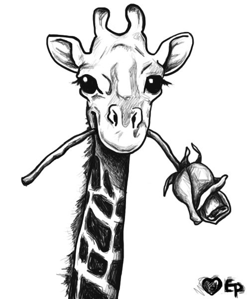 Giraffe Drawing – Google Search | Giraffe Drawing, Giraffe à Dessin Facile Girafe