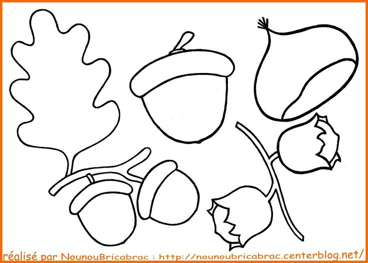 Glands, Châtaigne Et Noisettes À Colorier | Coloriage concernant Coloriage Écureuil Maternelle