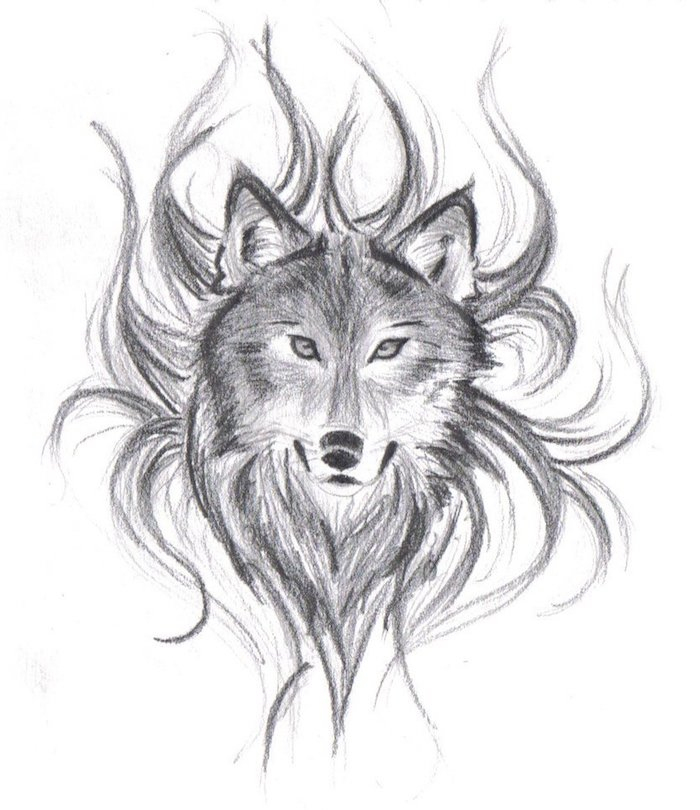 Meilleur Looking For Dessin Tete De Loup Qui Hurle Facile serapportantà Dessin Tete Loup