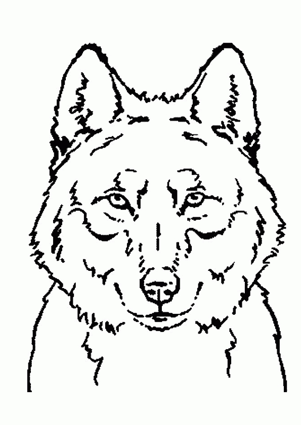 , Page 98 Sur 254 Sur Hugolescargot | Coloriage Loup serapportantà Dessin Tête De Loup