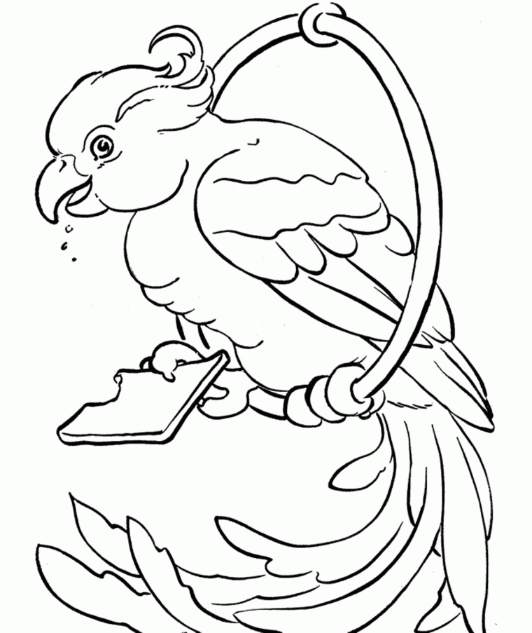 parrot coloring pages