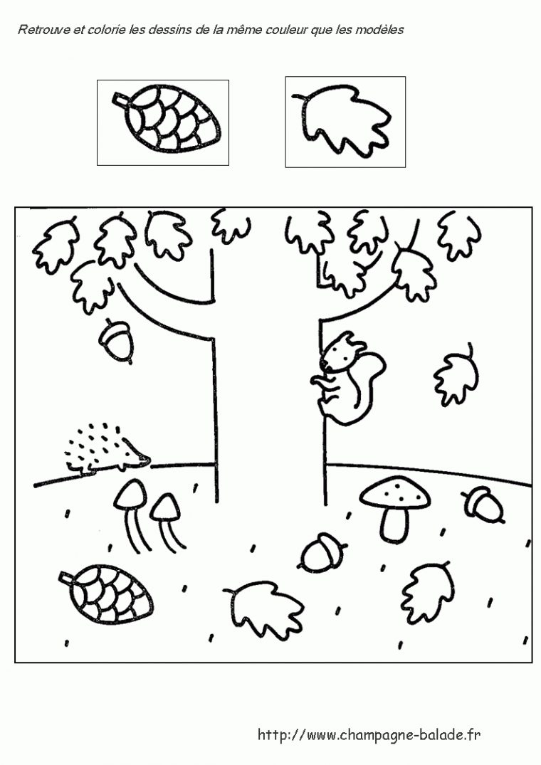 Pin Op Activités pour Coloriage Écureuil Maternelle