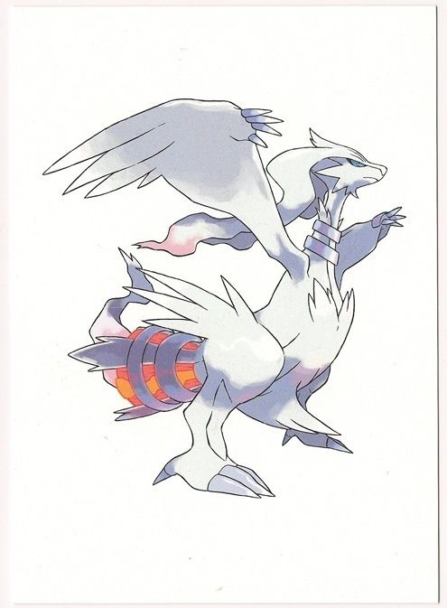 Pokemon Reshiram Black White Game Art Folio Sheet 6122018 tout Coloriage Pokemon Reshiram