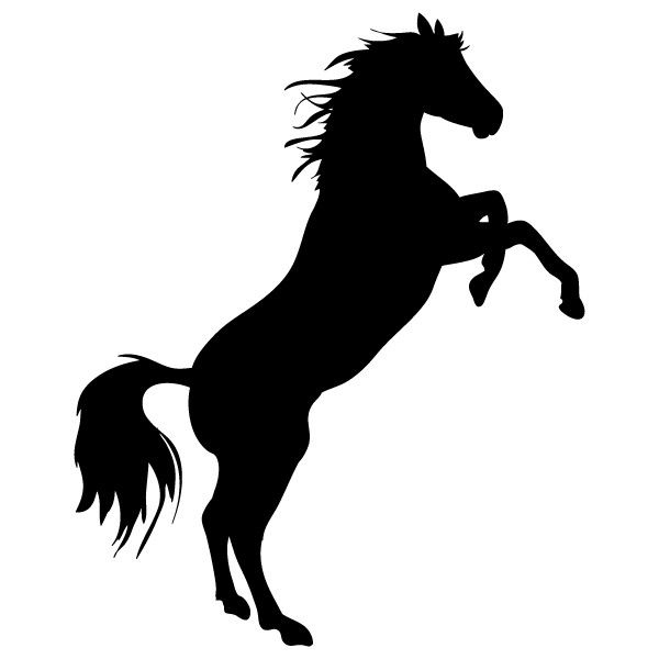 Sticker Cheval – Achetez En Ligne | Silhouette De Cheval destiné Dessiner Un Cheval Qui Saute