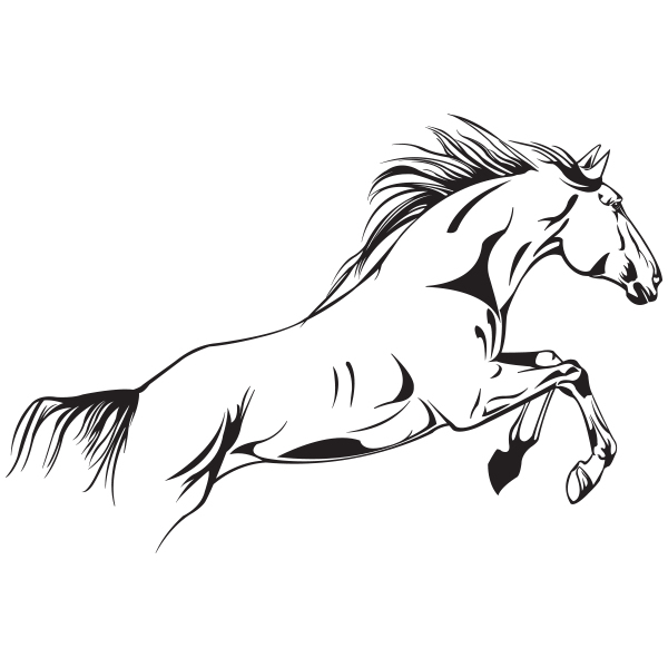 Sticker Cheval – Stickers Animaux & Stickers Muraux dedans Dessiner Un Cheval Qui Saute