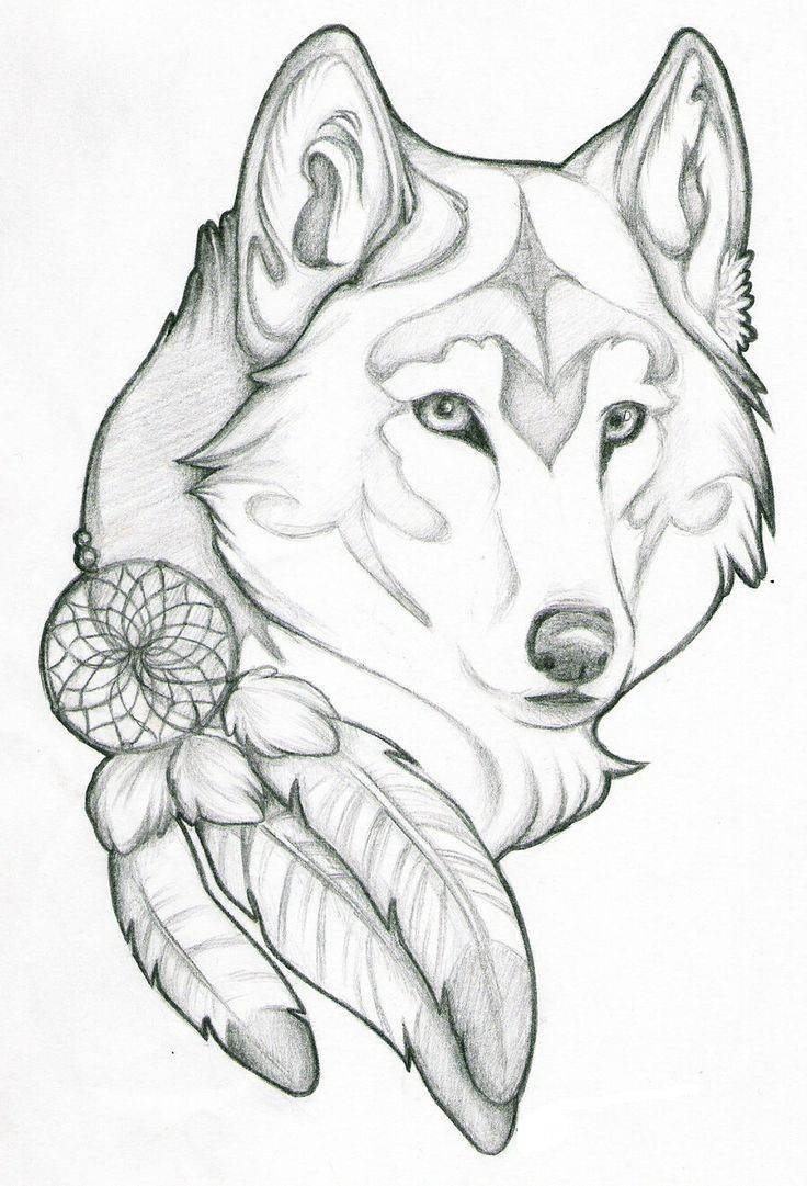 Tête De Loup | Drawings, Wolf Tattoo Design, Wolf Sketch à Dessin De Tête De Loup