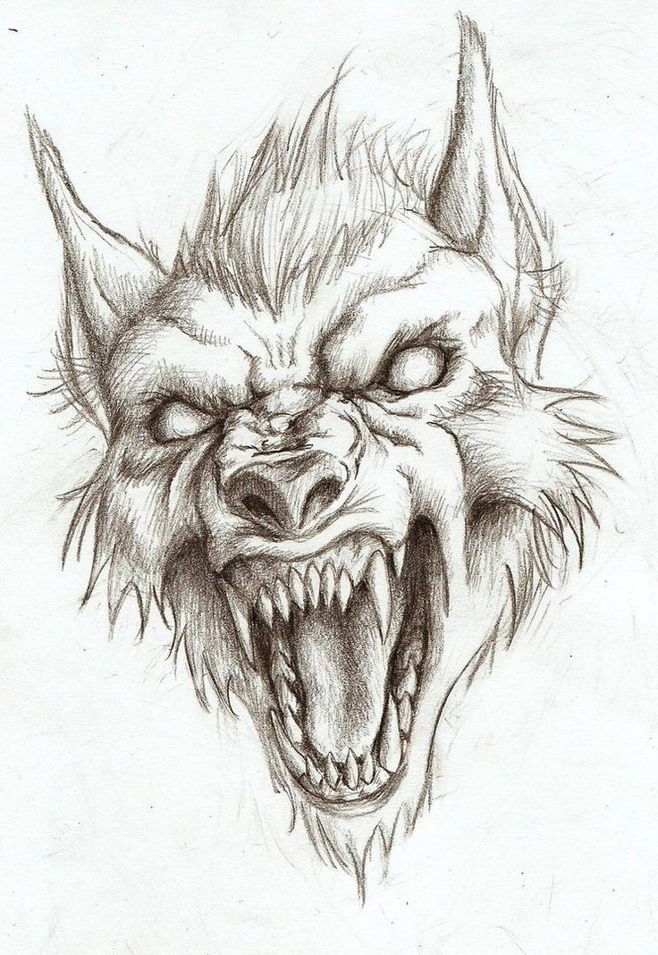 Werewolf Head Drawing (Not My Art!) – #Drawing #Werewolf serapportantà Tête De Loup Dessin