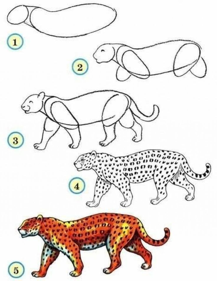 10 Tutoriels Photos Pour Apprendre À Dessiner Les Animaux intérieur Dessiner Tigre Facile