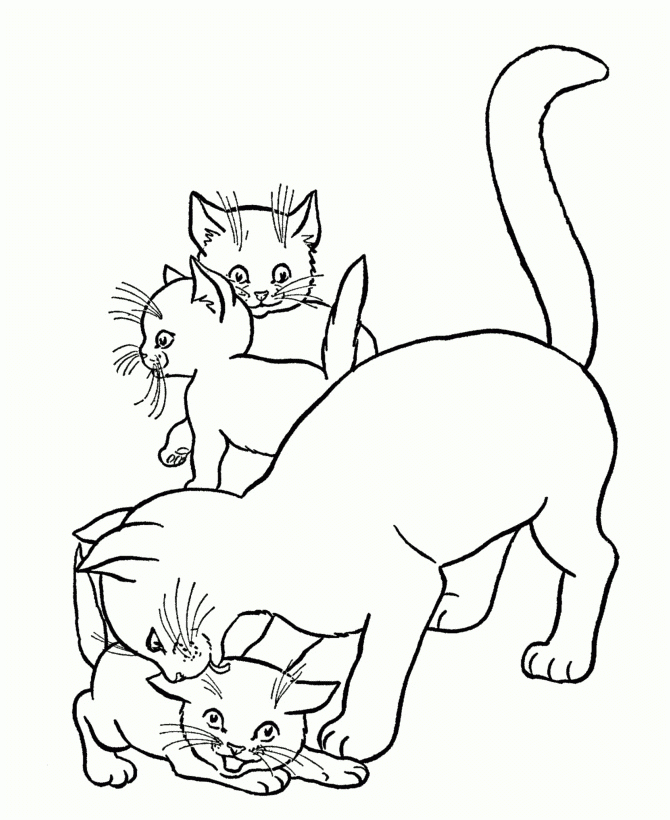 11 Inhabituellement Coloriage Bébé Chat Image – Coloriage serapportantà Coloriage Chiot Et Chaton