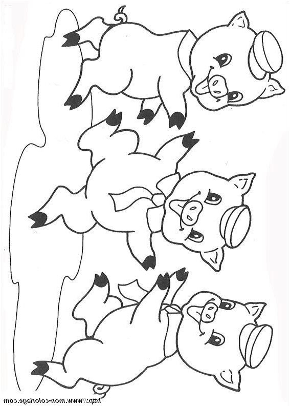 13 Moyen Coloriage Trois Petits Cochons Gallery pour Coloriage 3 Petit Cochon