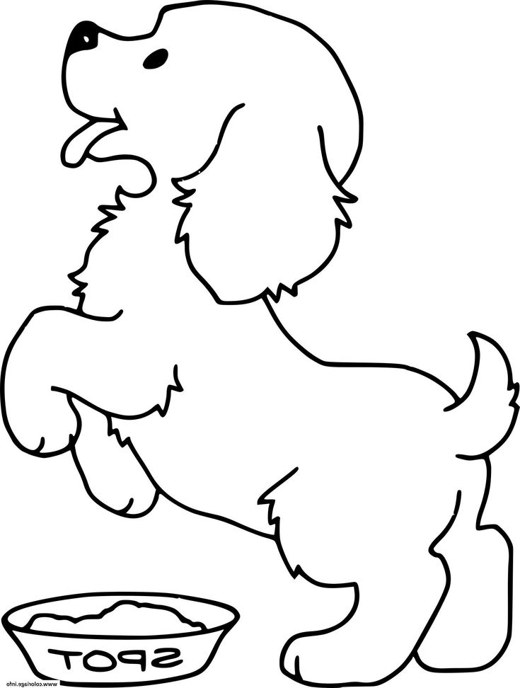 14 Élégant De Dessin A Colorier Chien Galerie | Puppy intérieur Coloriage De Chiot Trop Mignon À Imprimer