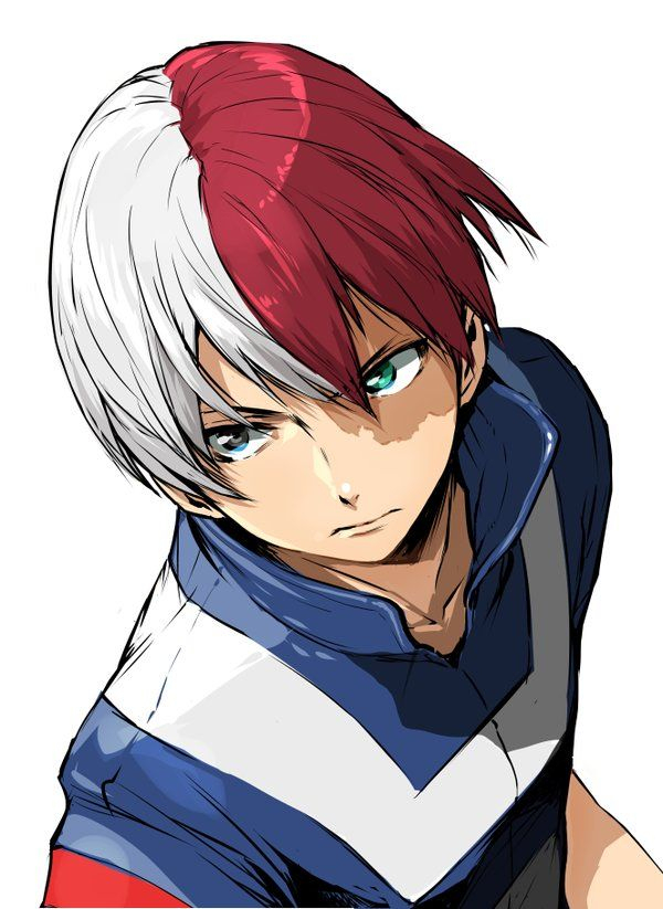 249 Best Boku No Hero Academia Images On Pinterest | The à Dessin My Hero Academia Shouto