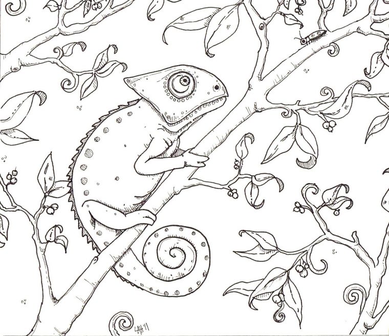 chameleon coloring page