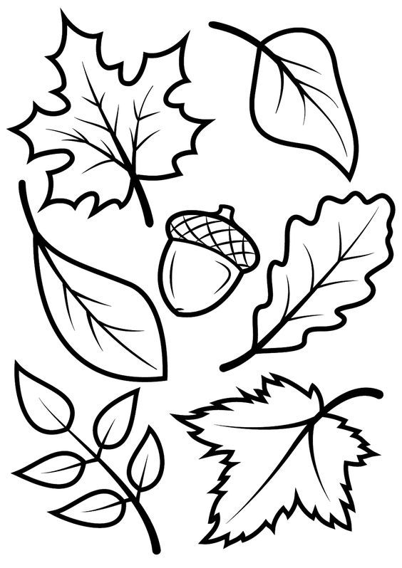 Activites Manuelles Clsh | Coloriage Automne, Coloriage serapportantà Coloriage Feuille D'Automne