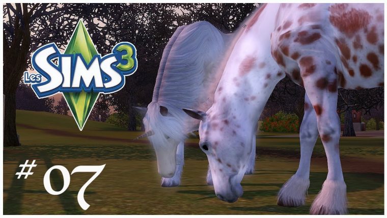 Animaux Et Cie 👩‍🌾🐴 Sims 3 #07 – à Animaux Et Compagnie