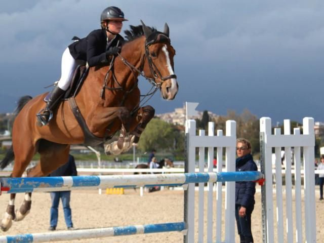 Annonces Chevaux À Vendre, Acheter Un Cheval | Saut D avec Coloriage Cheval Qui Saute Un Obstacle