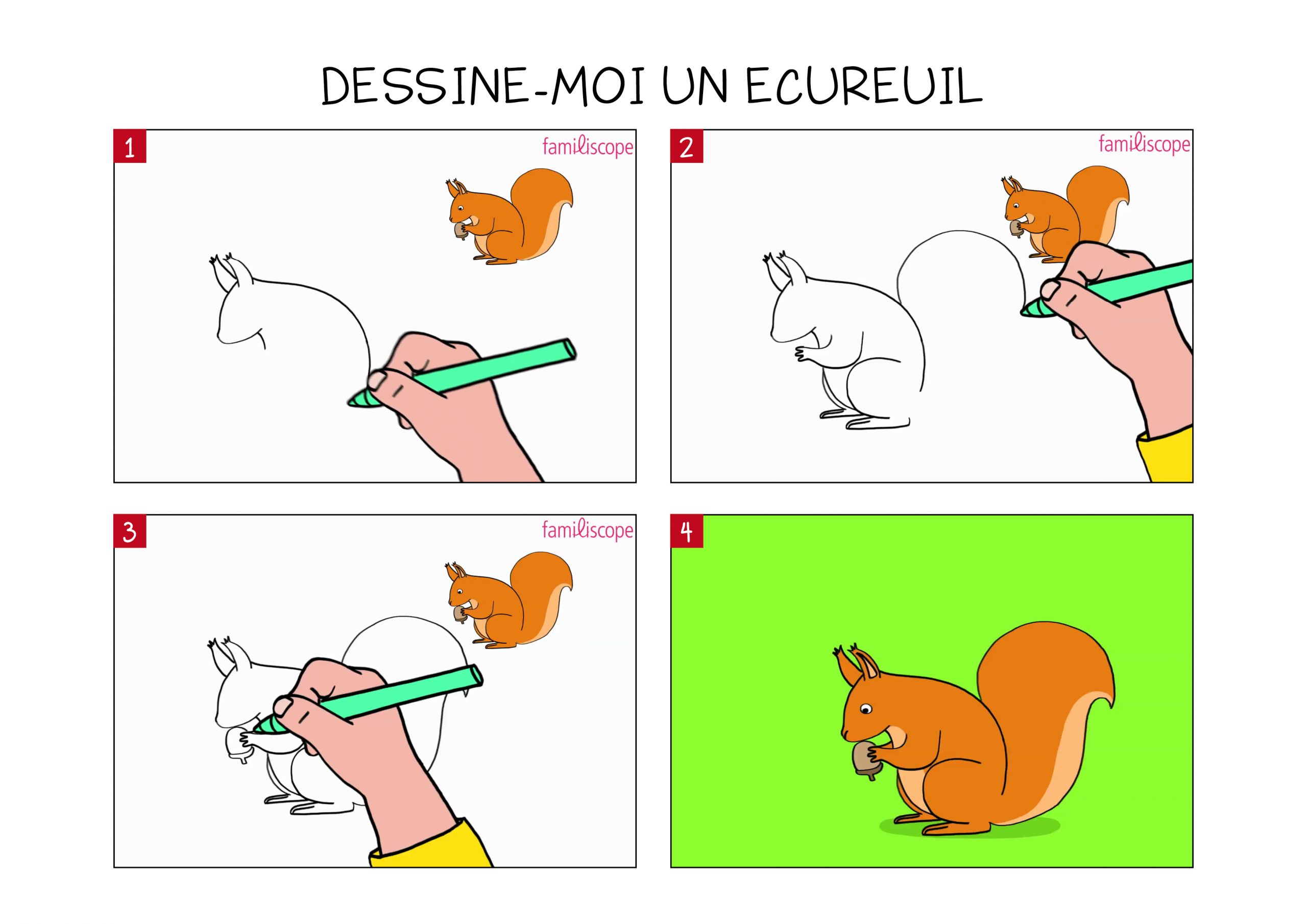 Apprendre À Dessiner Un Écureuil En 3 Étapes destiné Comment Dessiner Un Malinois