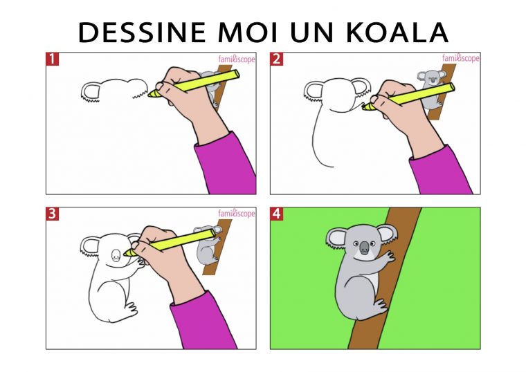 Apprendre À Dessiner Un Koala En 3 Étapes serapportantà Apprendre A Dessiner