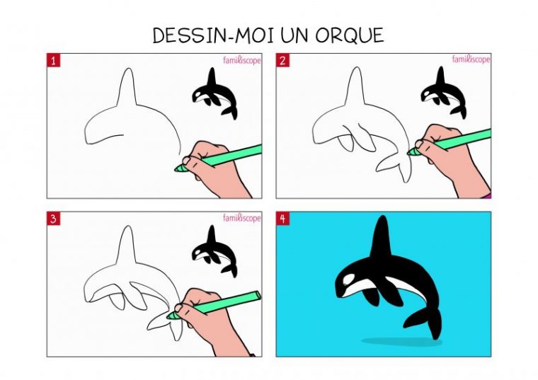 Apprendre À Dessiner Une Orque En 3 Étapes tout Apprendre À Dessiner