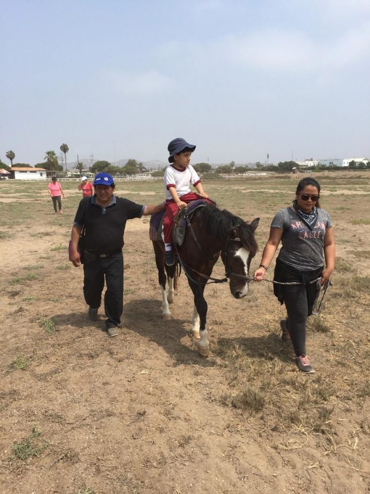 Arbeit Mit Pferden: Reiten Als Soziale Therapie In Peru intérieur Down Syndrom Sozialverhalten