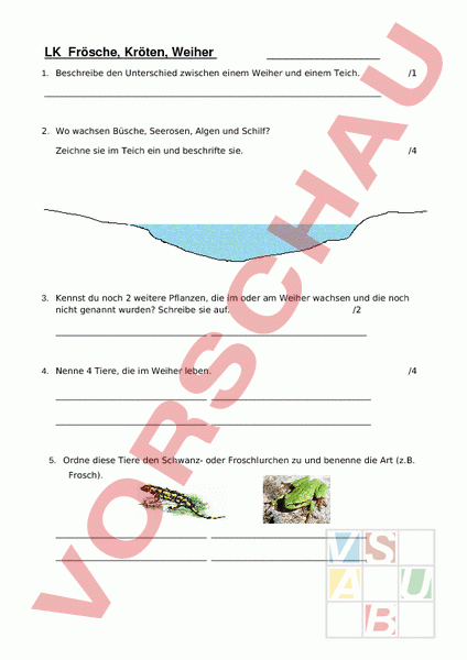 Arbeitsblatt: Frosch, Kröte, Weiher – Biologie – Tiere à Unterschied Frosch Und Kröte