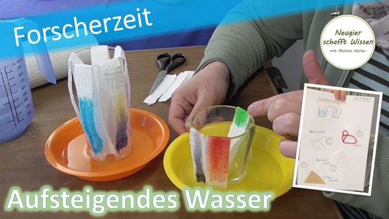 Aufsteigendes Wasser | Einfache Experimente | Für Zuhause à Experimente Für Zu Hause